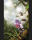 Martin Johnson Heade Two Hummingbirds with a Pink Orchid painting